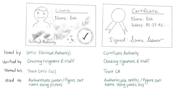 license-vs-cert-1024x528